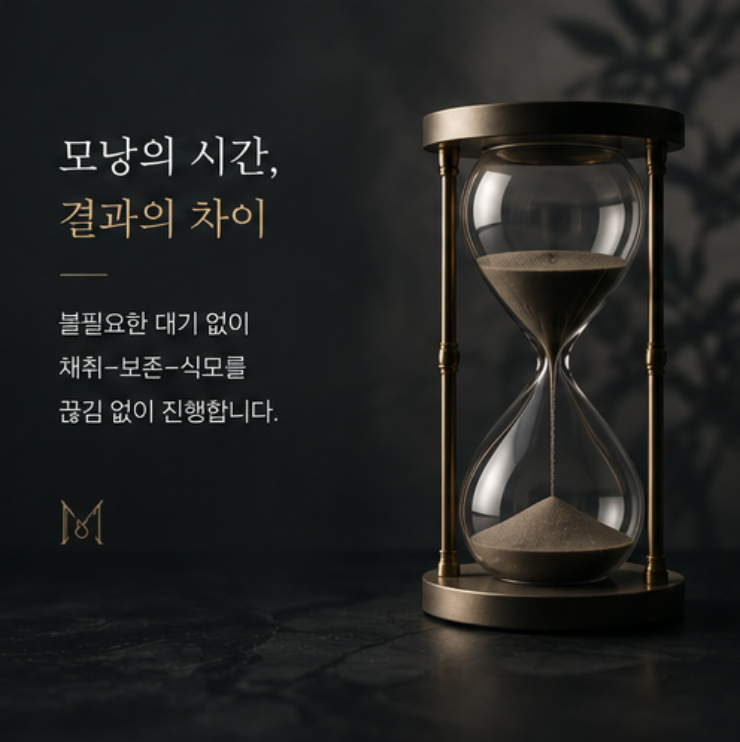 서두르지 않는다